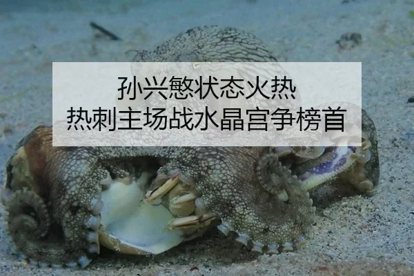 孙兴慜状态火热 热刺主场战水晶宫争榜首