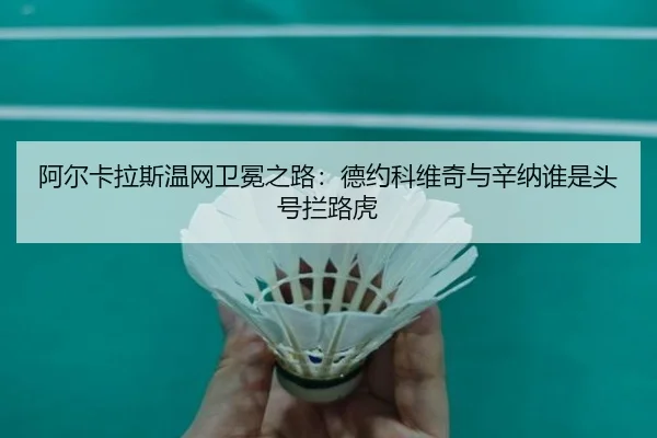阿尔卡拉斯温网卫冕之路：德约科维奇与辛纳谁是头号拦路虎